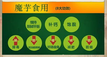 天燁食品科技 結(jié)構(gòu)粉技術(shù)引領(lǐng)全素、半素香腸與肉糜制品新風(fēng)向